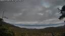 ./images/calvert/fitz-hugh-hecate/20250517/fitz-hugh-hecate20250517_212009M.jpg