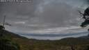 ./images/calvert/fitz-hugh-hecate/20250517/fitz-hugh-hecate20250517_212508M.jpg