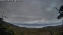 ./images/calvert/fitz-hugh-hecate/20250517/fitz-hugh-hecate20250517_213008M.jpg