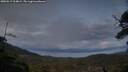 ./images/calvert/fitz-hugh-hecate/20250517/fitz-hugh-hecate20250517_214009M.jpg