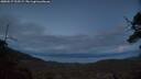 ./images/calvert/fitz-hugh-hecate/20250517/fitz-hugh-hecate20250517_215508M.jpg