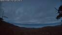 ./images/calvert/fitz-hugh-hecate/20250517/fitz-hugh-hecate20250517_220006M.jpg