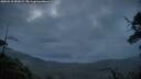 ./images/calvert/fitz-hugh-hecate/20250518/fitz-hugh-hecate20250518_051008M.jpg