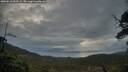 ./images/calvert/fitz-hugh-hecate/20250518/fitz-hugh-hecate20250518_053508M.jpg