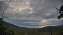 ./images/calvert/fitz-hugh-hecate/20250518/fitz-hugh-hecate20250518_054008M.jpg