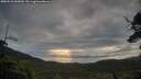 ./images/calvert/fitz-hugh-hecate/20250518/fitz-hugh-hecate20250518_065010M.jpg