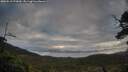 ./images/calvert/fitz-hugh-hecate/20250518/fitz-hugh-hecate20250518_070010M.jpg