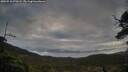 ./images/calvert/fitz-hugh-hecate/20250518/fitz-hugh-hecate20250518_070507M.jpg