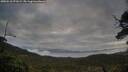 ./images/calvert/fitz-hugh-hecate/20250518/fitz-hugh-hecate20250518_071009M.jpg