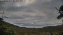 ./images/calvert/fitz-hugh-hecate/20250518/fitz-hugh-hecate20250518_072508M.jpg