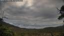 ./images/calvert/fitz-hugh-hecate/20250518/fitz-hugh-hecate20250518_073010M.jpg