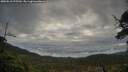 ./images/calvert/fitz-hugh-hecate/20250518/fitz-hugh-hecate20250518_075509M.jpg