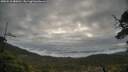 ./images/calvert/fitz-hugh-hecate/20250518/fitz-hugh-hecate20250518_080010M.jpg