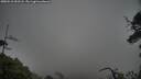 ./images/calvert/fitz-hugh-hecate/20250518/fitz-hugh-hecate20250518_092508M.jpg
