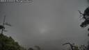 ./images/calvert/fitz-hugh-hecate/20250518/fitz-hugh-hecate20250518_093510M.jpg