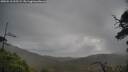 ./images/calvert/fitz-hugh-hecate/20250518/fitz-hugh-hecate20250518_095509M.jpg