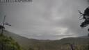 ./images/calvert/fitz-hugh-hecate/20250518/fitz-hugh-hecate20250518_100509M.jpg