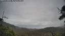 ./images/calvert/fitz-hugh-hecate/20250518/fitz-hugh-hecate20250518_103010M.jpg