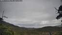 ./images/calvert/fitz-hugh-hecate/20250518/fitz-hugh-hecate20250518_103510M.jpg