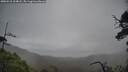 ./images/calvert/fitz-hugh-hecate/20250518/fitz-hugh-hecate20250518_104008M.jpg