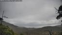 ./images/calvert/fitz-hugh-hecate/20250518/fitz-hugh-hecate20250518_104510M.jpg