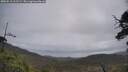 ./images/calvert/fitz-hugh-hecate/20250518/fitz-hugh-hecate20250518_111509M.jpg