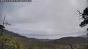 ./images/calvert/fitz-hugh-hecate/20250518/fitz-hugh-hecate20250518_112506M.jpg