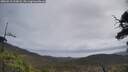 ./images/calvert/fitz-hugh-hecate/20250518/fitz-hugh-hecate20250518_113008M.jpg