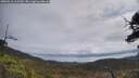 ./images/calvert/fitz-hugh-hecate/20250518/fitz-hugh-hecate20250518_113510M.jpg