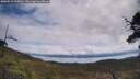 ./images/calvert/fitz-hugh-hecate/20250518/fitz-hugh-hecate20250518_115010M.jpg
