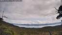 ./images/calvert/fitz-hugh-hecate/20250518/fitz-hugh-hecate20250518_115509M.jpg