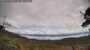 ./images/calvert/fitz-hugh-hecate/20250518/fitz-hugh-hecate20250518_120510M.jpg