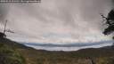 ./images/calvert/fitz-hugh-hecate/20250518/fitz-hugh-hecate20250518_121510M.jpg