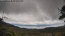 ./images/calvert/fitz-hugh-hecate/20250518/fitz-hugh-hecate20250518_122010M.jpg