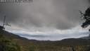 ./images/calvert/fitz-hugh-hecate/20250518/fitz-hugh-hecate20250518_122510M.jpg