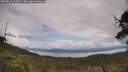 ./images/calvert/fitz-hugh-hecate/20250518/fitz-hugh-hecate20250518_124510M.jpg