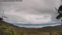 ./images/calvert/fitz-hugh-hecate/20250518/fitz-hugh-hecate20250518_125507M.jpg