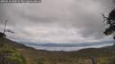 ./images/calvert/fitz-hugh-hecate/20250518/fitz-hugh-hecate20250518_130008M.jpg