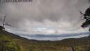 ./images/calvert/fitz-hugh-hecate/20250518/fitz-hugh-hecate20250518_132009M.jpg