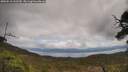 ./images/calvert/fitz-hugh-hecate/20250518/fitz-hugh-hecate20250518_132509M.jpg
