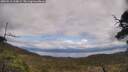 ./images/calvert/fitz-hugh-hecate/20250518/fitz-hugh-hecate20250518_134009M.jpg