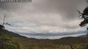 ./images/calvert/fitz-hugh-hecate/20250518/fitz-hugh-hecate20250518_135008M.jpg