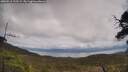 ./images/calvert/fitz-hugh-hecate/20250518/fitz-hugh-hecate20250518_135509M.jpg