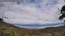./images/calvert/fitz-hugh-hecate/20250518/fitz-hugh-hecate20250518_140507M.jpg