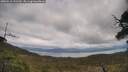 ./images/calvert/fitz-hugh-hecate/20250518/fitz-hugh-hecate20250518_141510M.jpg