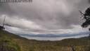 ./images/calvert/fitz-hugh-hecate/20250518/fitz-hugh-hecate20250518_142508M.jpg
