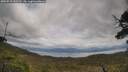 ./images/calvert/fitz-hugh-hecate/20250518/fitz-hugh-hecate20250518_143510M.jpg