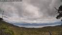 ./images/calvert/fitz-hugh-hecate/20250518/fitz-hugh-hecate20250518_144509M.jpg