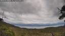 ./images/calvert/fitz-hugh-hecate/20250518/fitz-hugh-hecate20250518_145010M.jpg