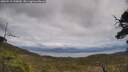 ./images/calvert/fitz-hugh-hecate/20250518/fitz-hugh-hecate20250518_150010M.jpg